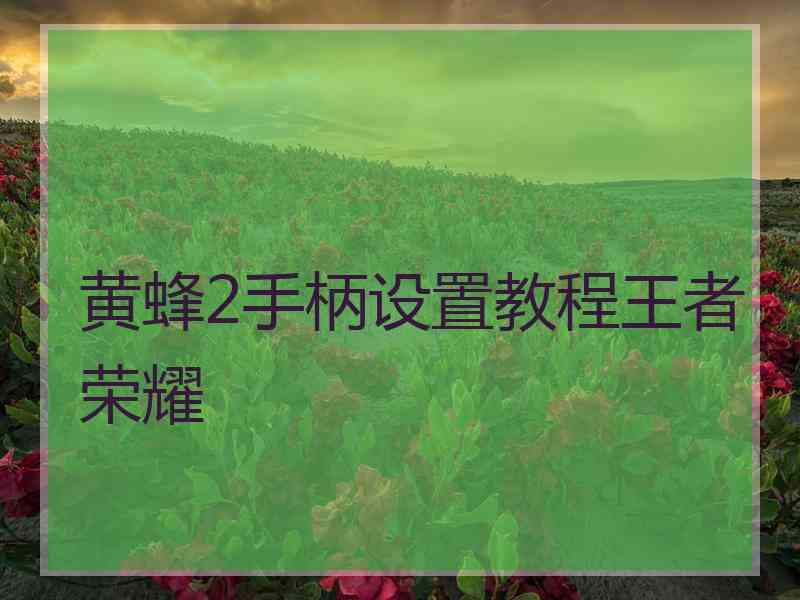 黄蜂2手柄设置教程王者荣耀