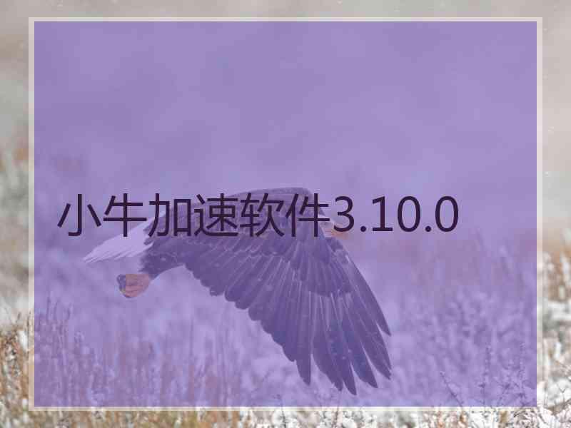 小牛加速软件3.10.0