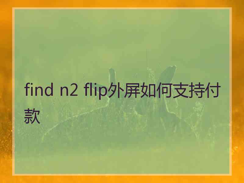 find n2 flip外屏如何支持付款