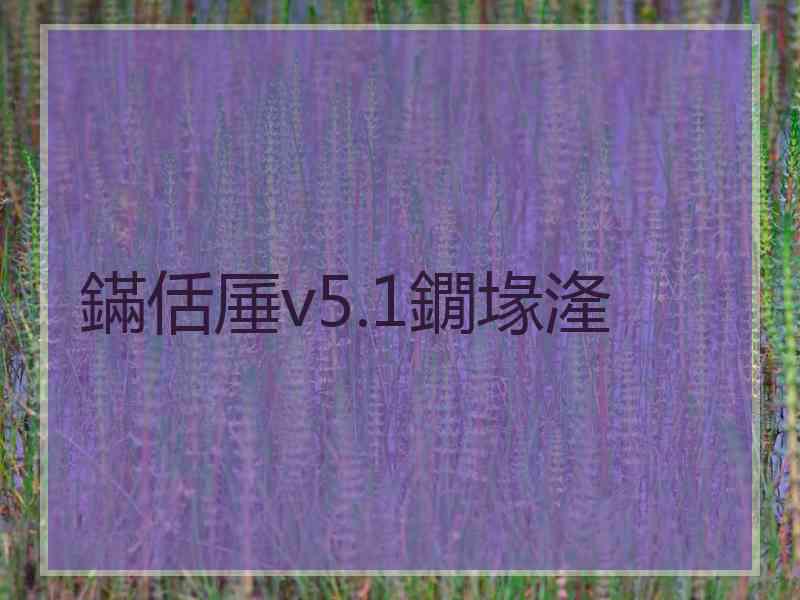 鏋佸厜v5.1鐗堟湰