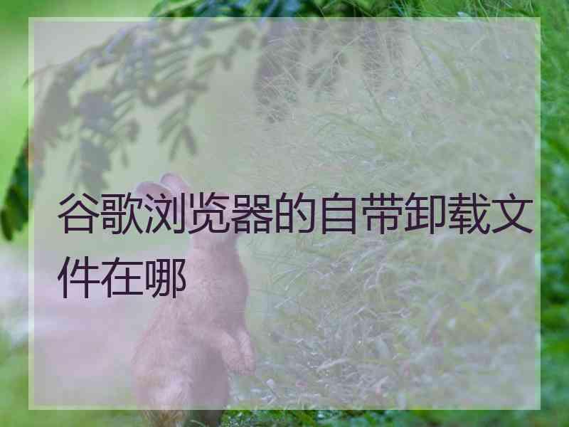 谷歌浏览器的自带卸载文件在哪