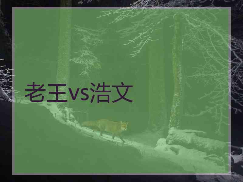 老王vs浩文