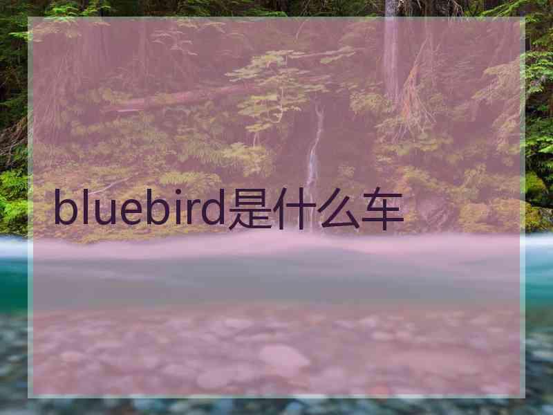 bluebird是什么车