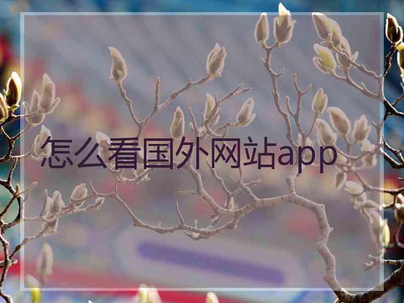 怎么看国外网站app