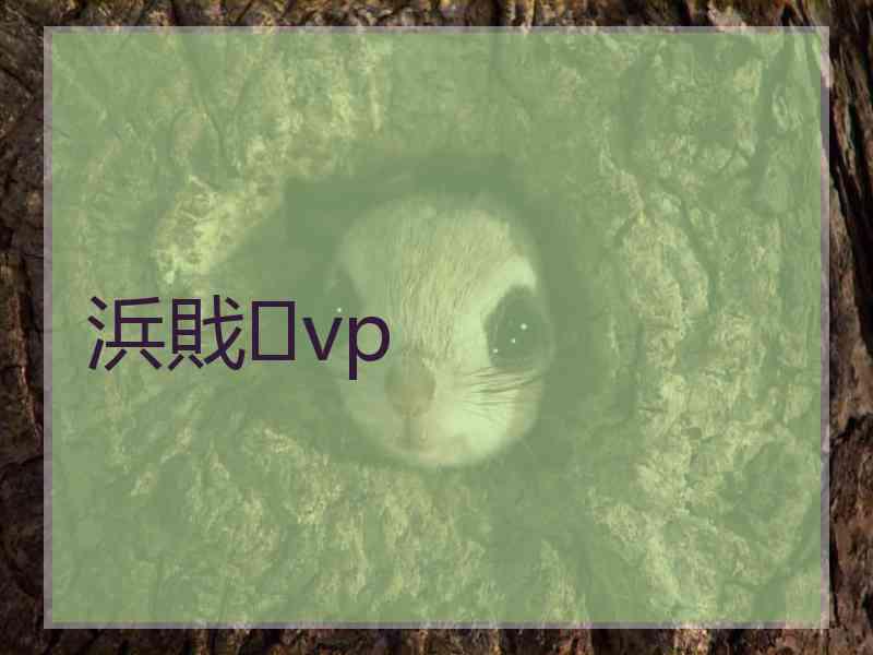 浜戝vp