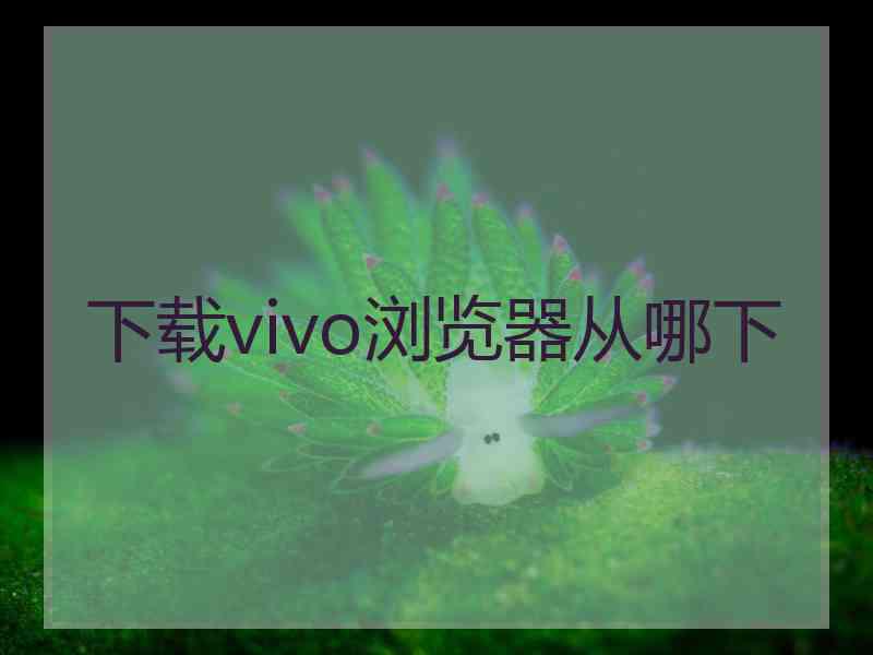 下载vivo浏览器从哪下