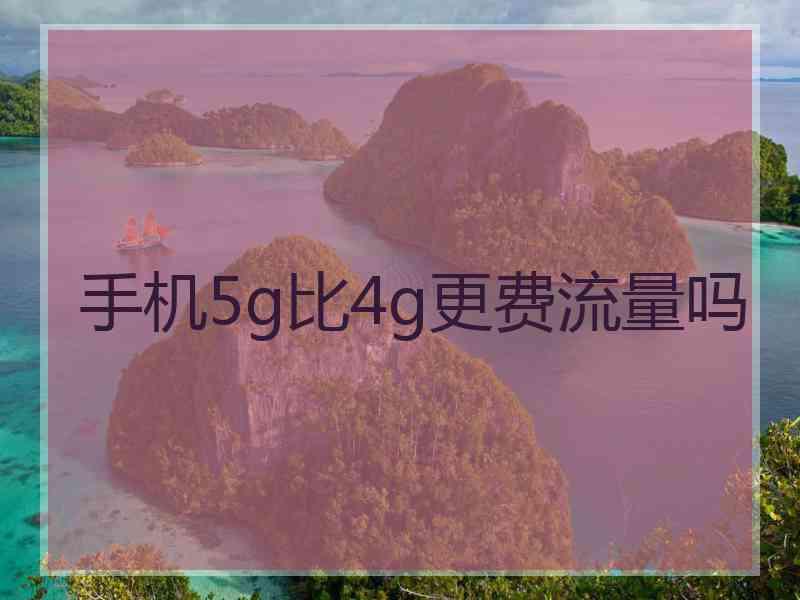 手机5g比4g更费流量吗