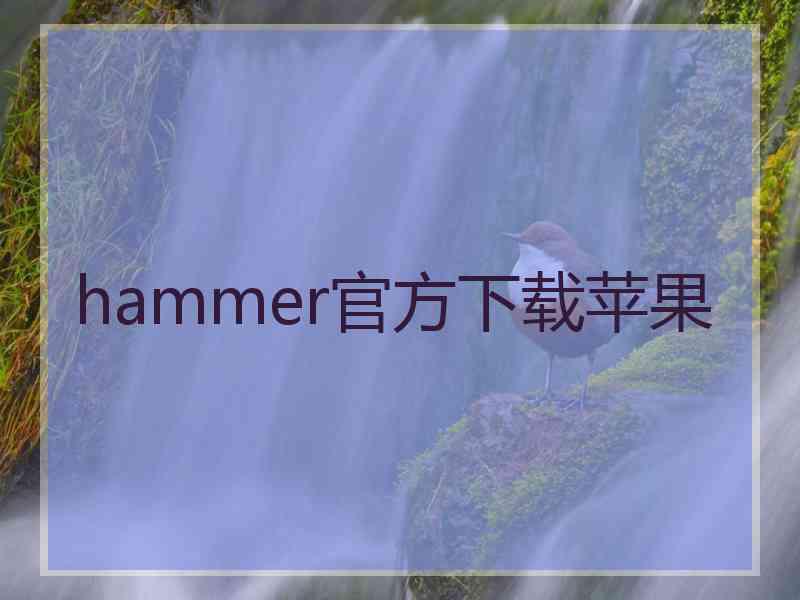 hammer官方下载苹果