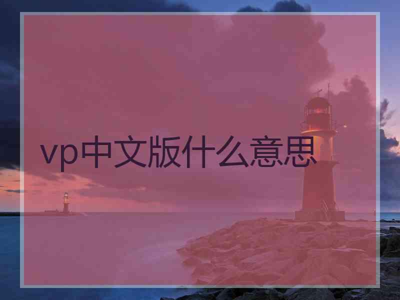 vp中文版什么意思