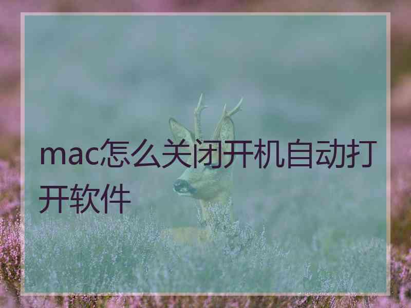 mac怎么关闭开机自动打开软件