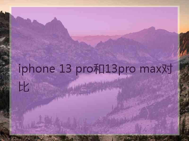 iphone 13 pro和13pro max对比