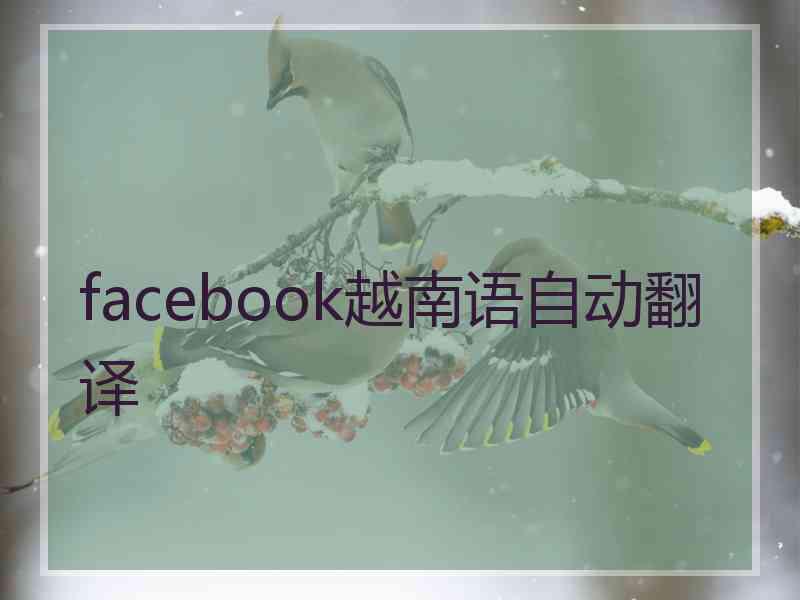 facebook越南语自动翻译