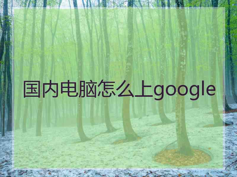 国内电脑怎么上google