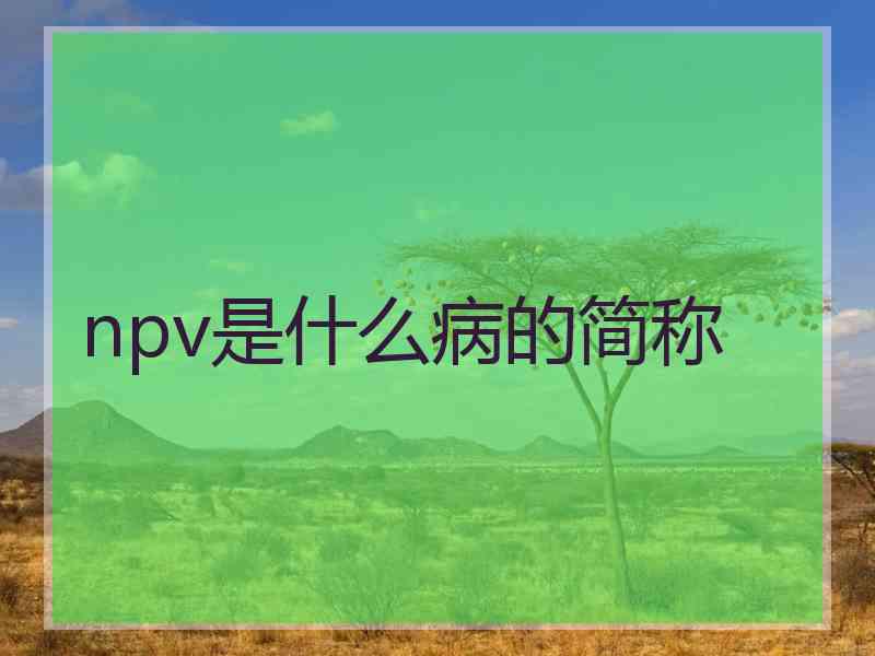 npv是什么病的简称