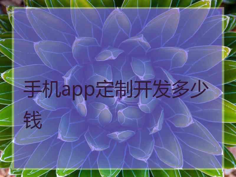 手机app定制开发多少钱