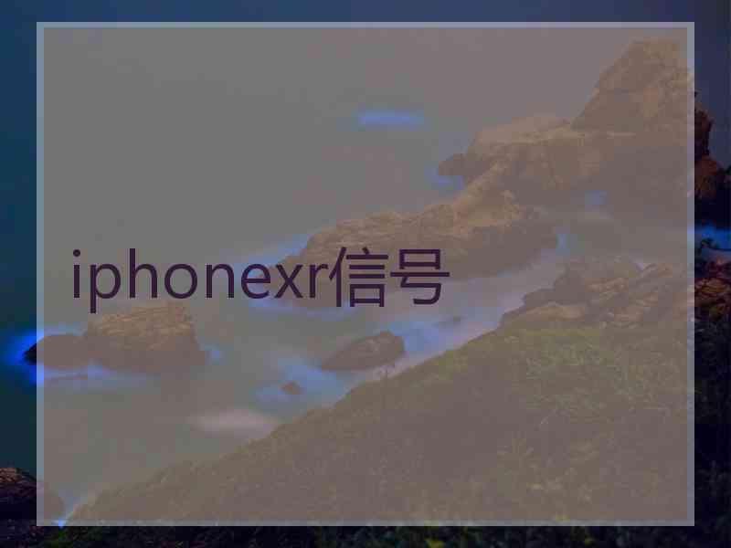 iphonexr信号