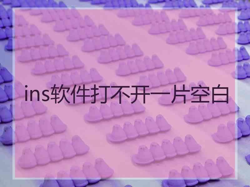 ins软件打不开一片空白