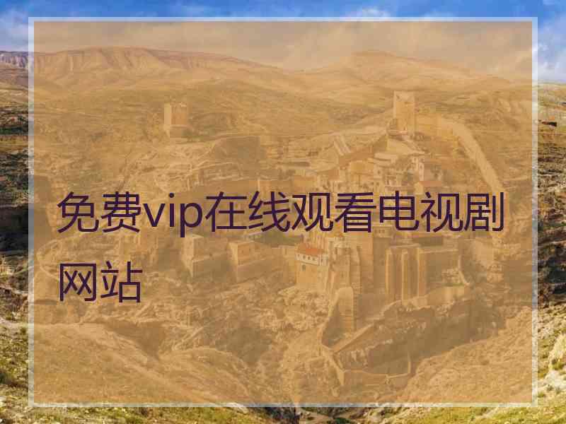 免费vip在线观看电视剧网站