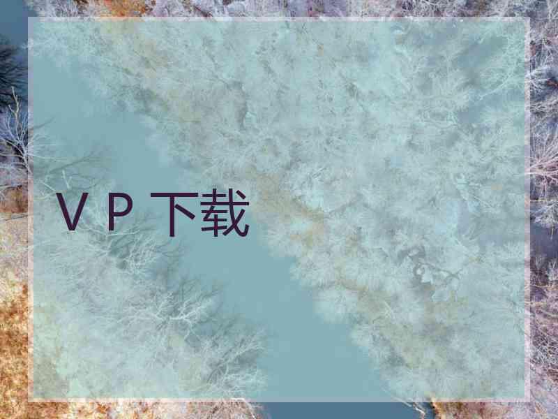 V P 下载