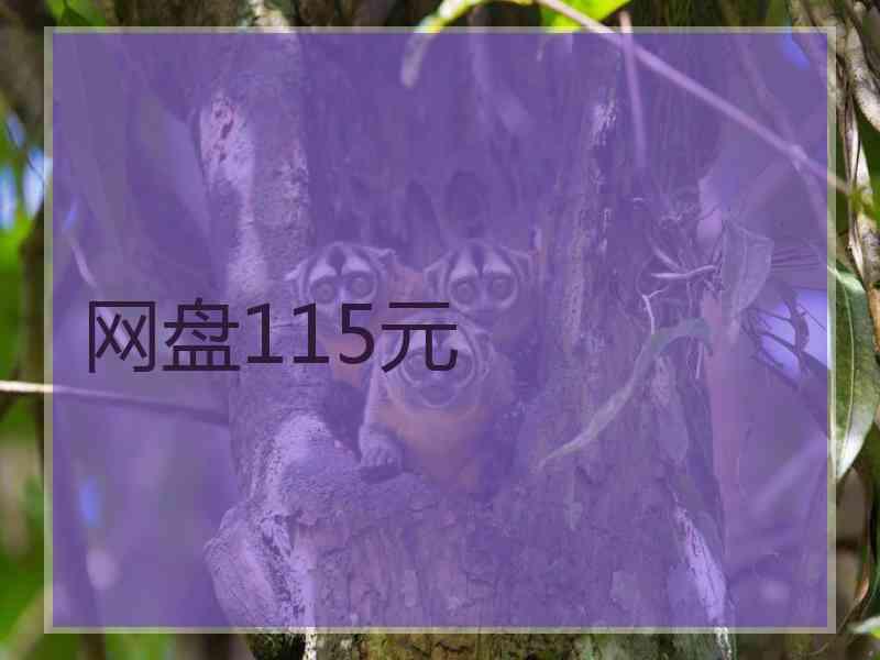 网盘115元