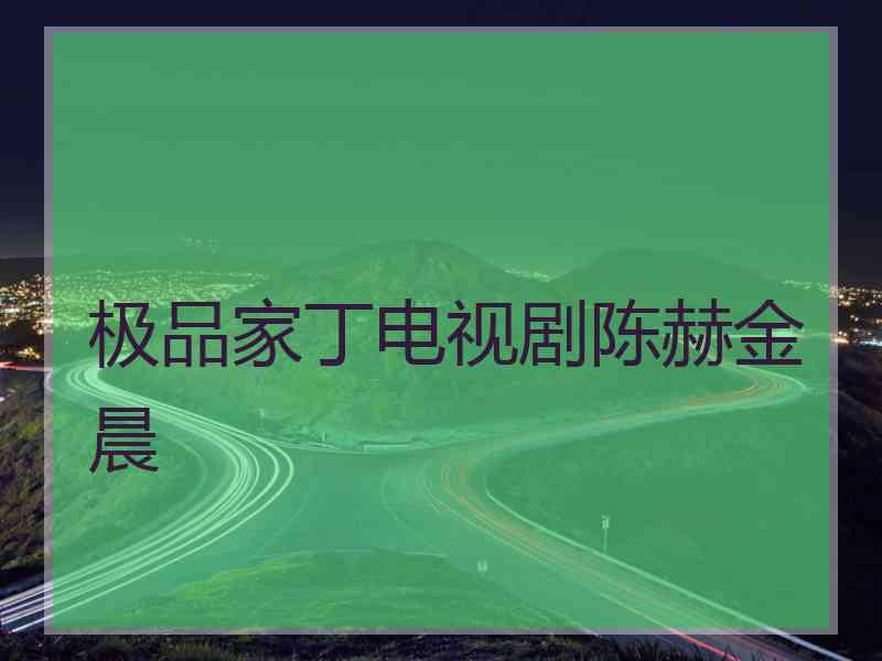 极品家丁电视剧陈赫金晨