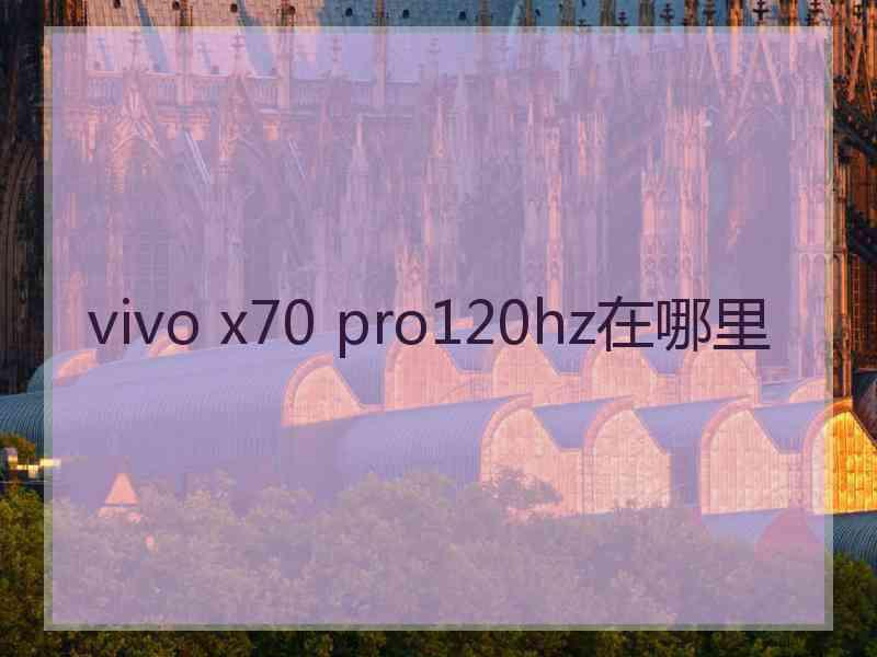 vivo x70 pro120hz在哪里