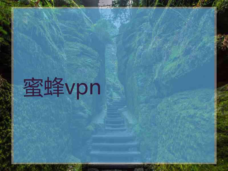 蜜蜂vpn