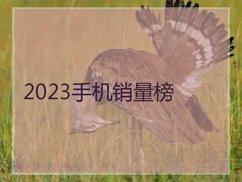 2023手机销量榜