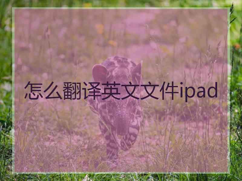 怎么翻译英文文件ipad