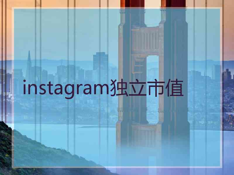 instagram独立市值