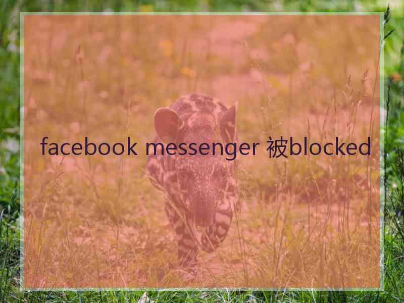 facebook messenger 被blocked