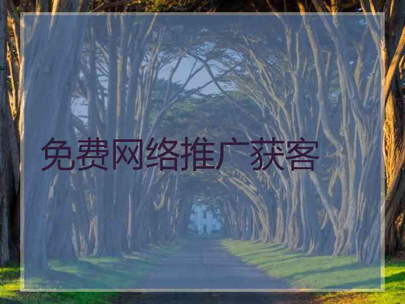 免费网络推广获客