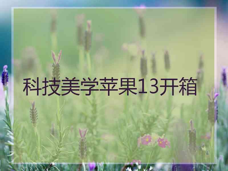 科技美学苹果13开箱