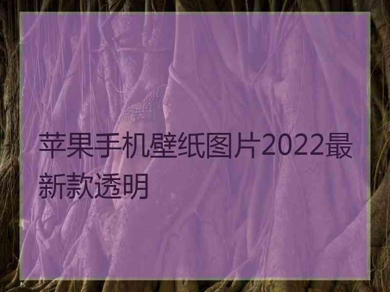 苹果手机壁纸图片2022最新款透明