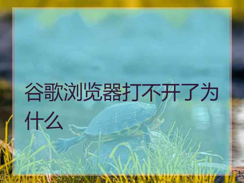 谷歌浏览器打不开了为什么