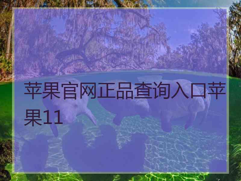 苹果官网正品查询入口苹果11