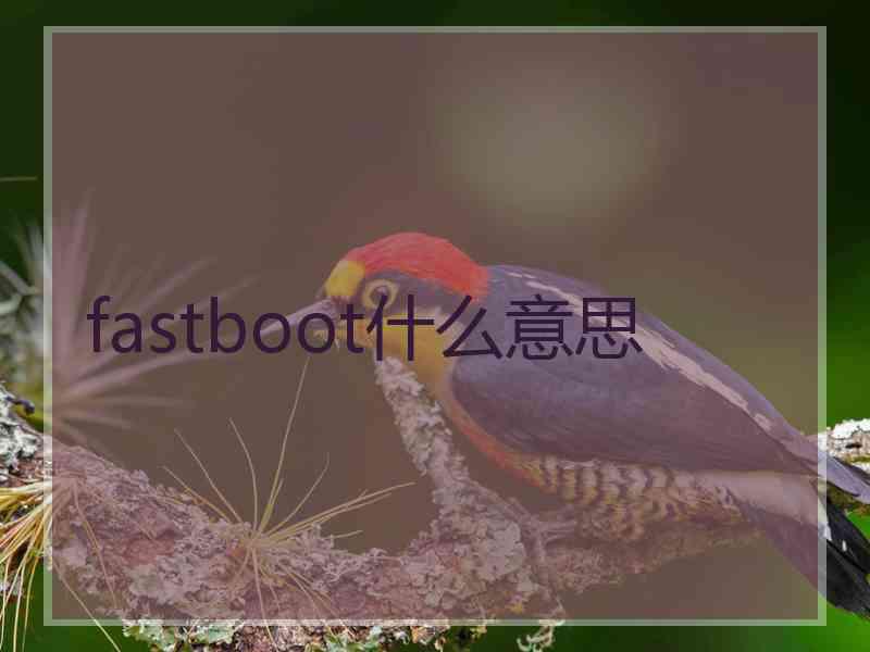 fastboot什么意思