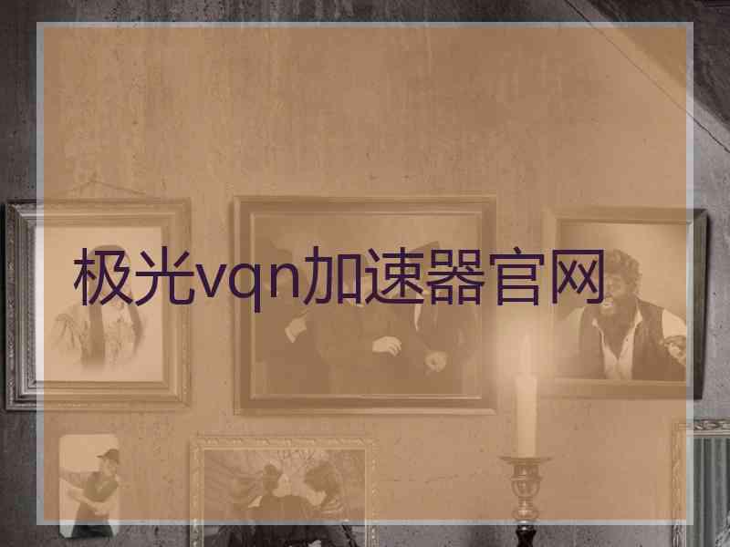 极光vqn加速器官网