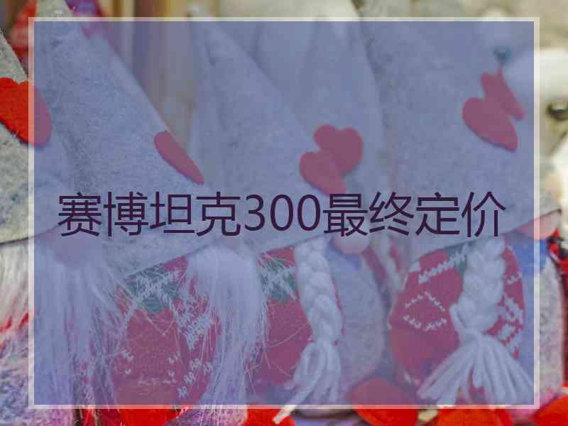 赛博坦克300最终定价