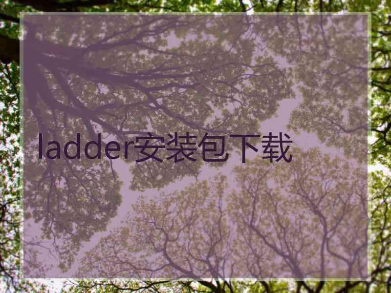 ladder安装包下载