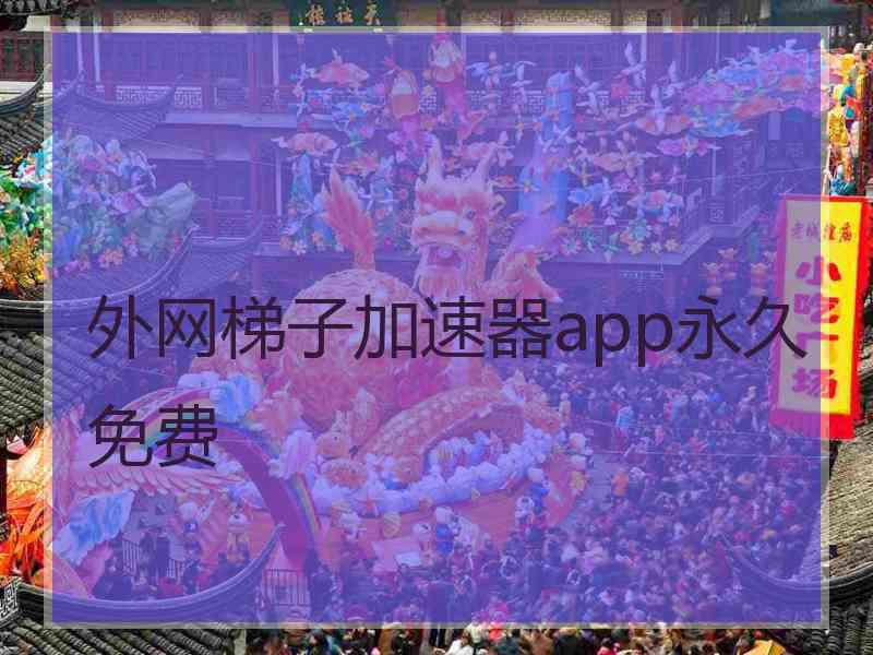 外网梯子加速器app永久免费