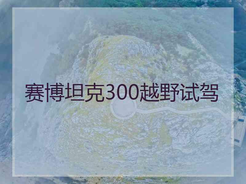 赛博坦克300越野试驾