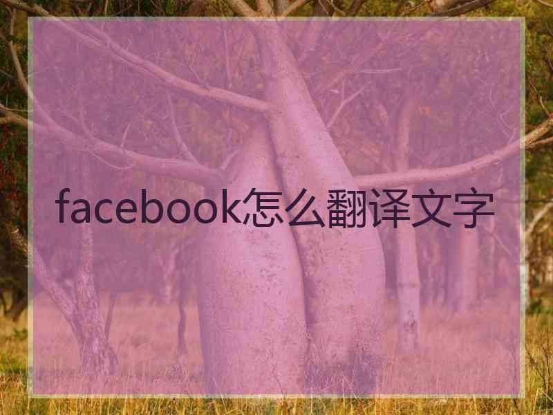 facebook怎么翻译文字