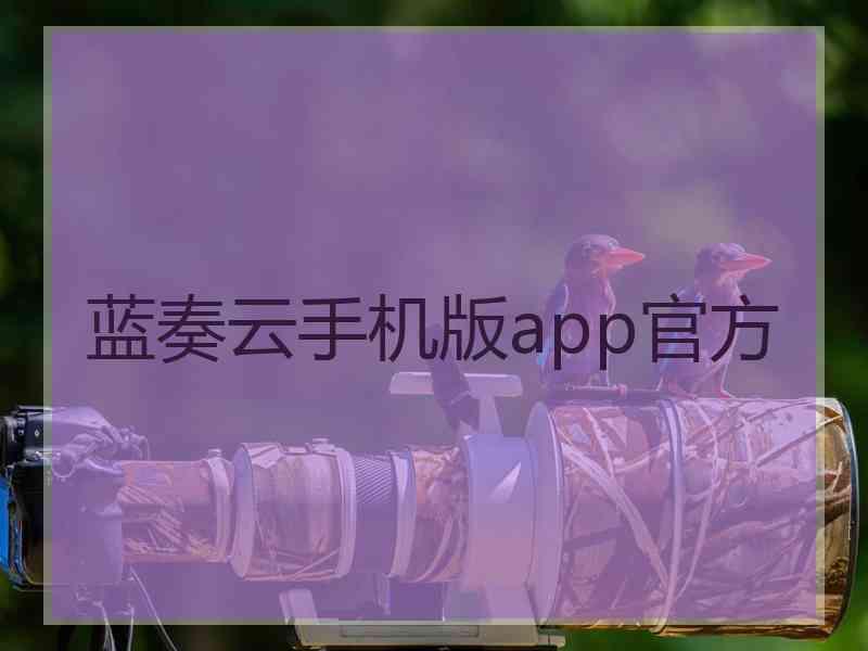 蓝奏云手机版app官方