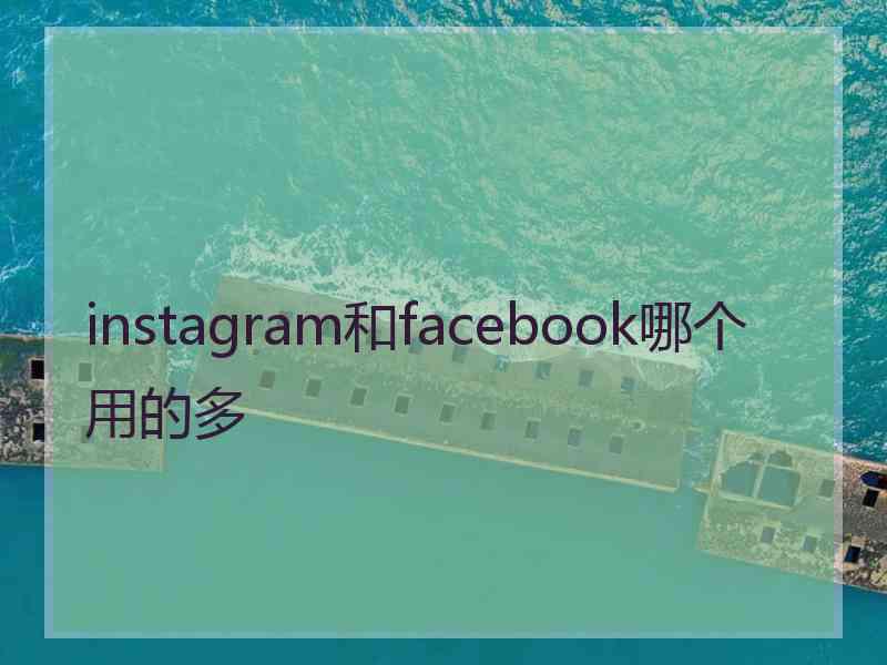 instagram和facebook哪个用的多