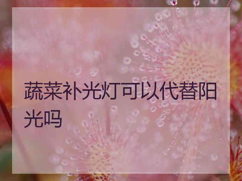 蔬菜补光灯可以代替阳光吗