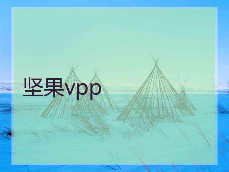 坚果vpp