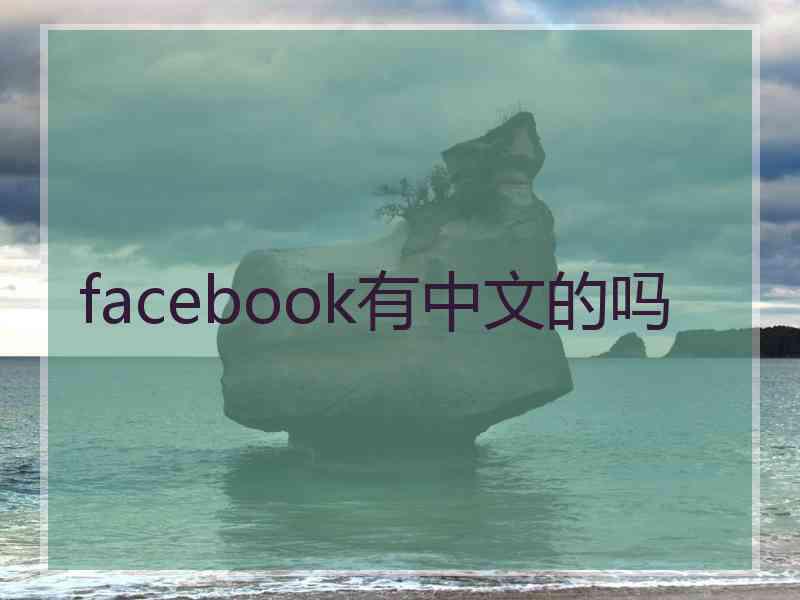 facebook有中文的吗