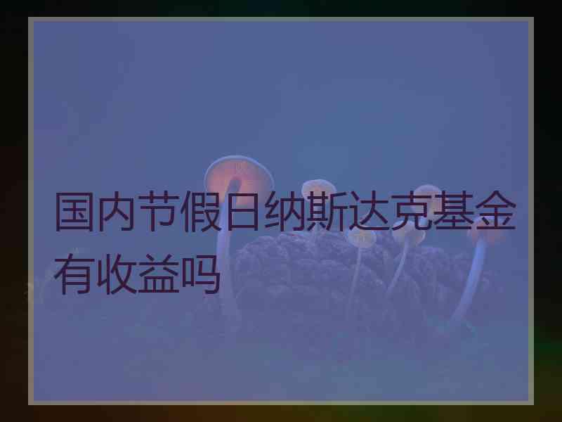 国内节假日纳斯达克基金有收益吗