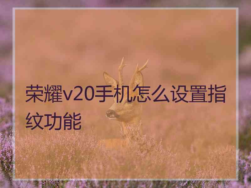 荣耀v20手机怎么设置指纹功能